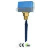 Flow Switch (FS01)